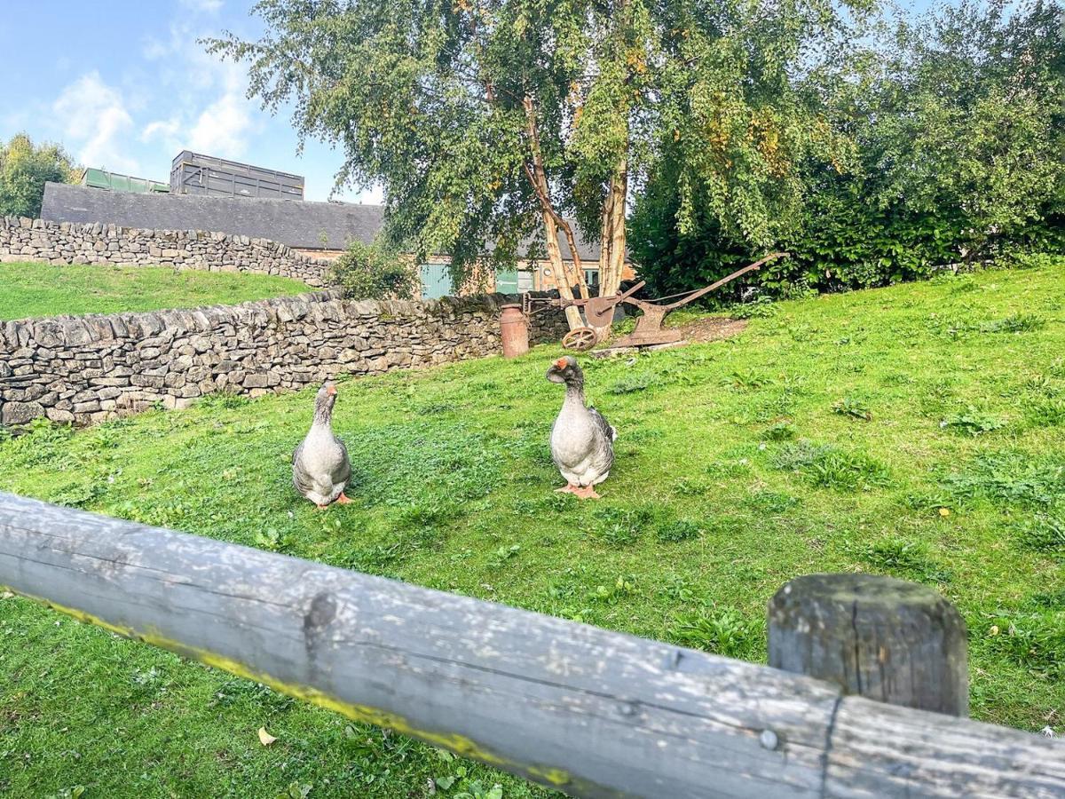 Tissington Lea Hall Farmhouse المظهر الخارجي الصورة